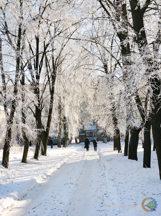 Зимова казка