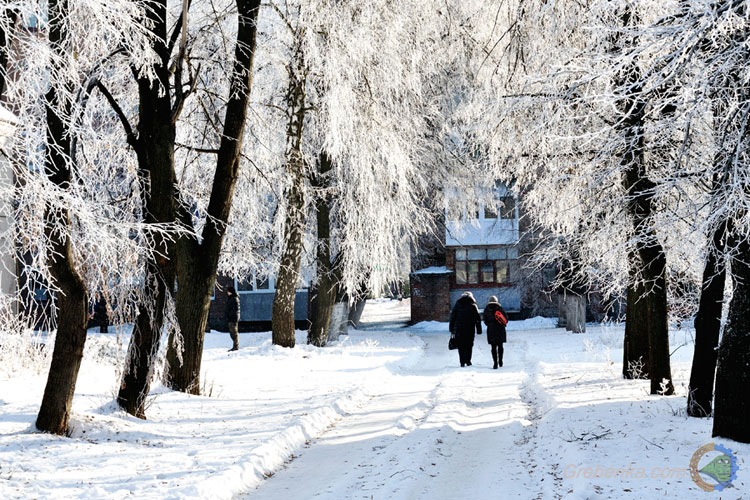 Просто зима