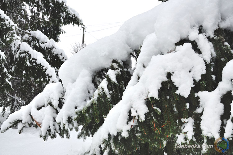 Засніжена Гребінка