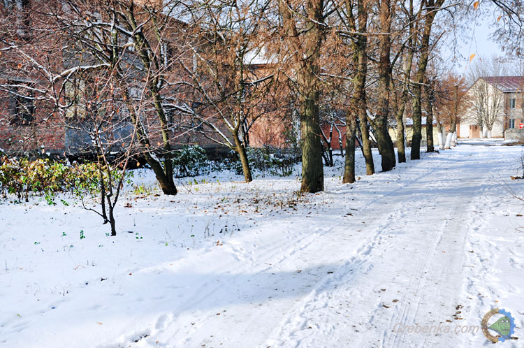У Гребінці випав перший сніг