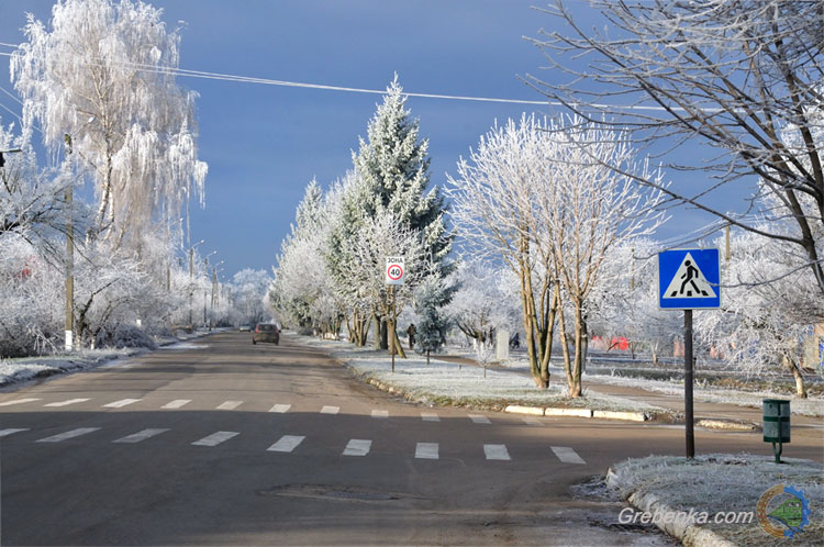 Ранковий іній