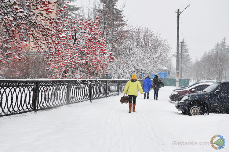 Гребінка зимова