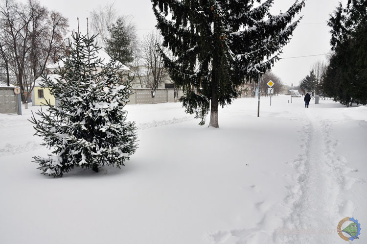 Засніжена Гребінка