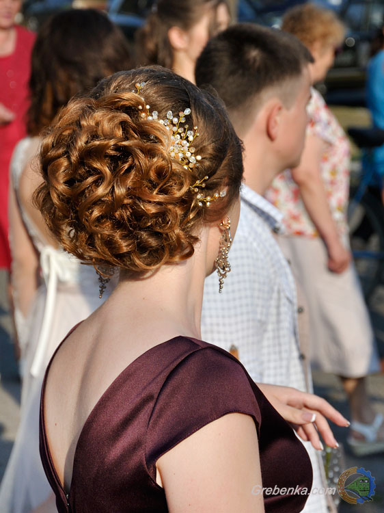 Випуск 2017 у Гребінці