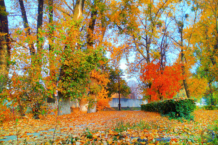 Фарби осені – Гребінка