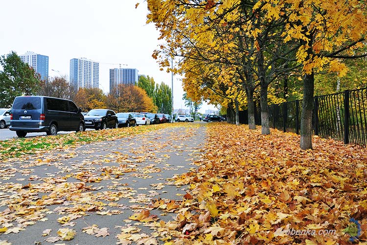 Чарівна осінь