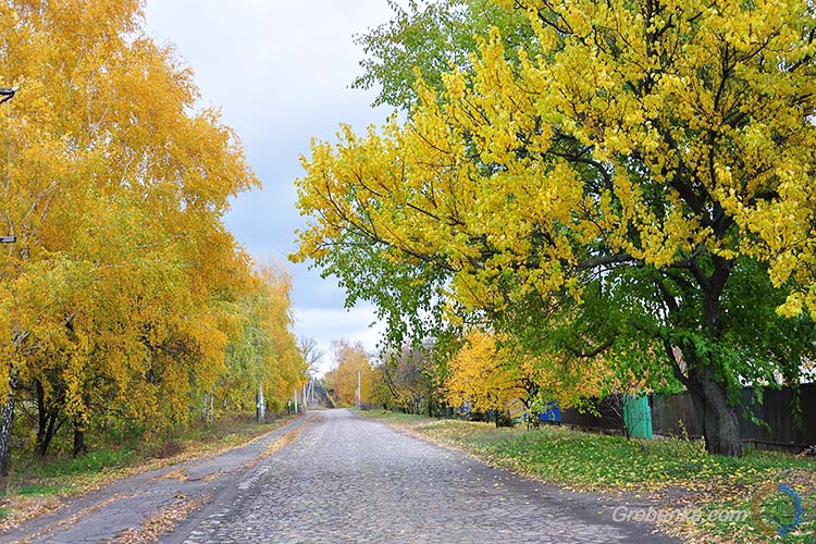 Осінь у Гребінці через об'єктив фотокамери
