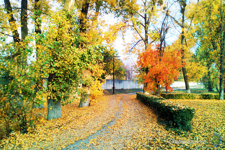 Фарби осені – Гребінка