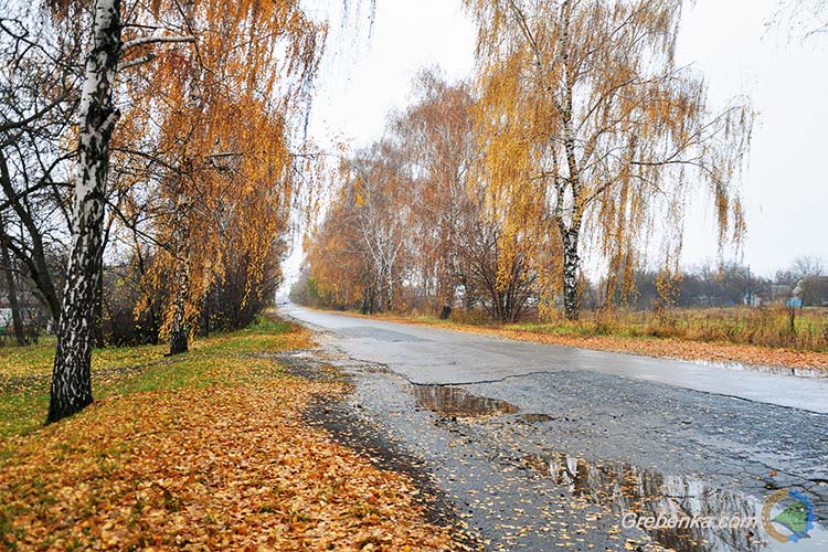 Осінній дощ