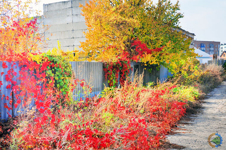 Різнокольорова суперосінь