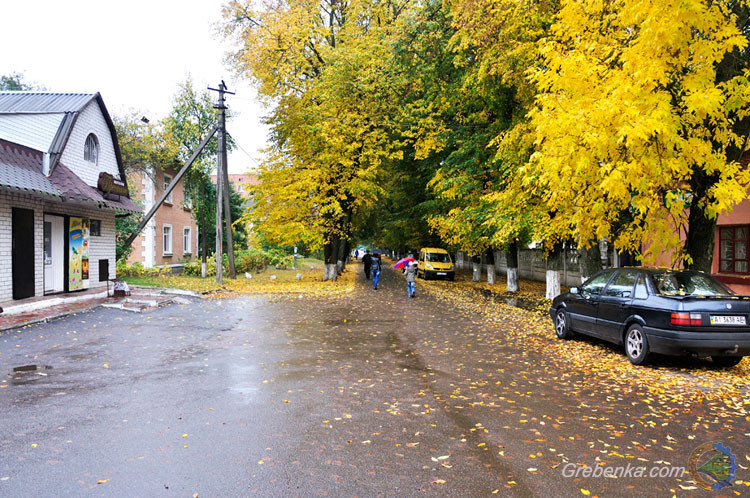 Дивовижна українська осінь