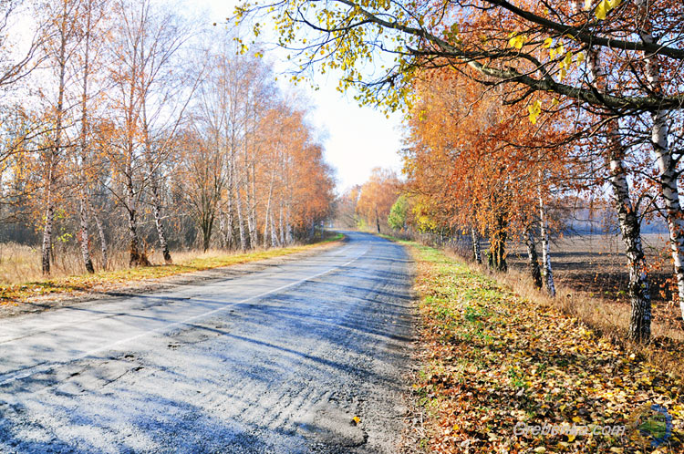 Дорога в осінь…