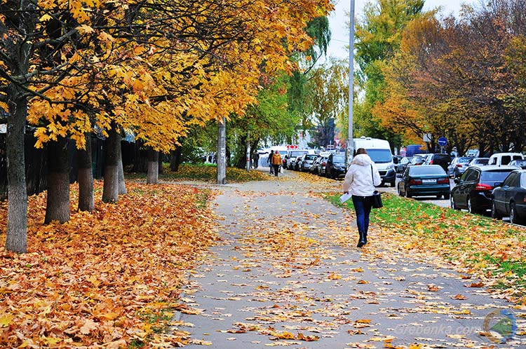 Чарівна київська осінь
