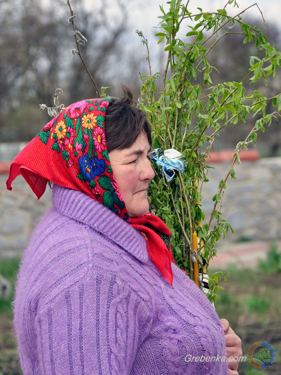 Вербна неділя