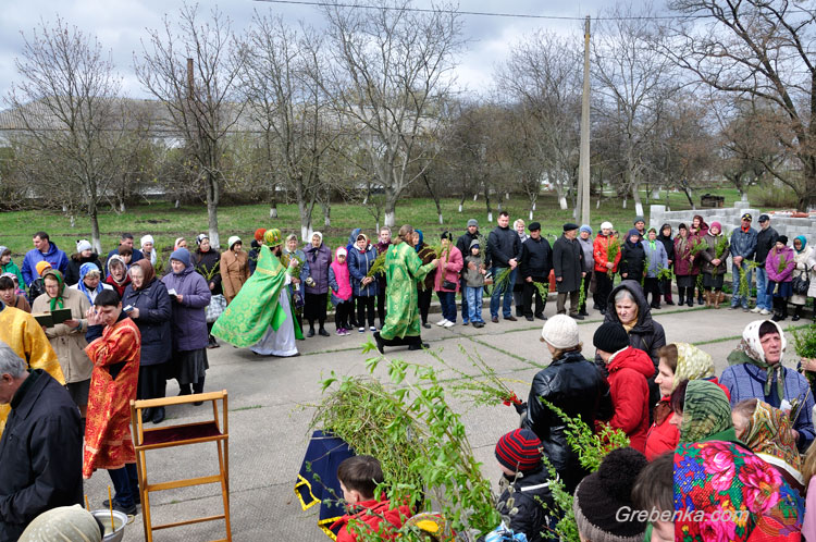 Вербна неділя