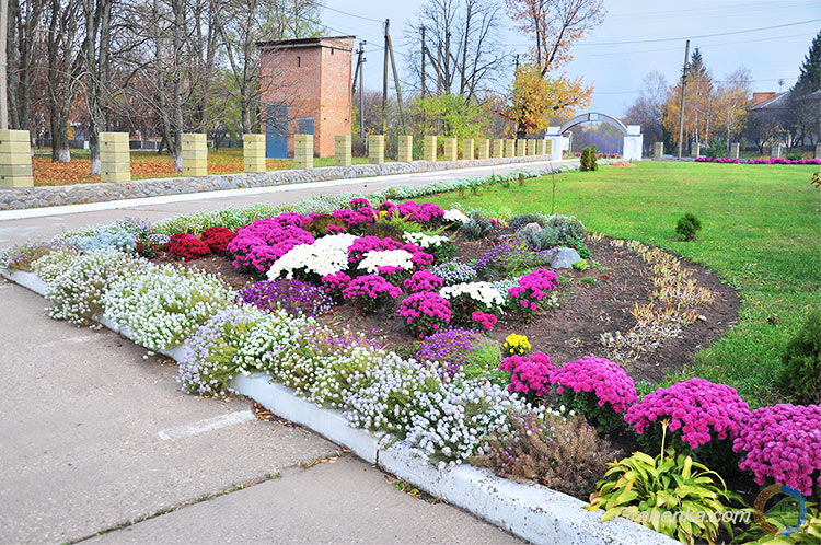 Осінній ландшафтний дизайн