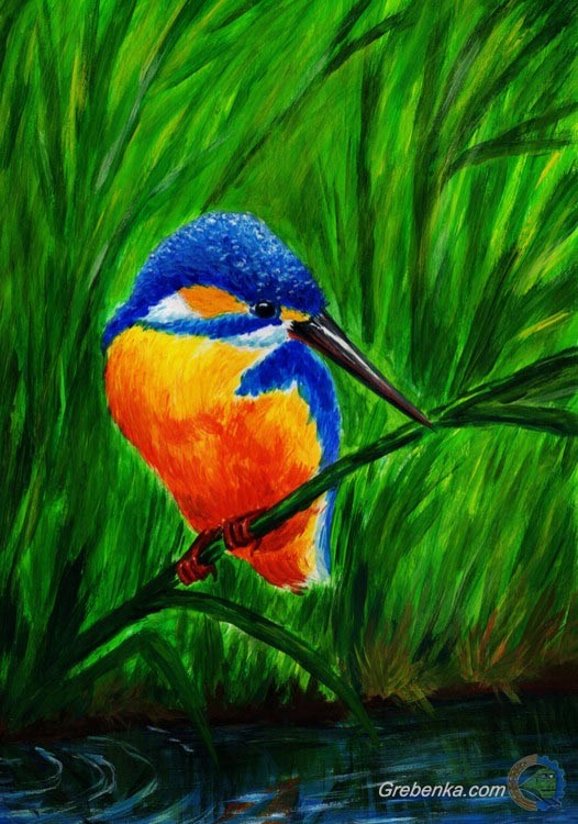 Зимородок на полюванні