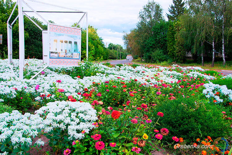 Клумба з квітами у Гребінці