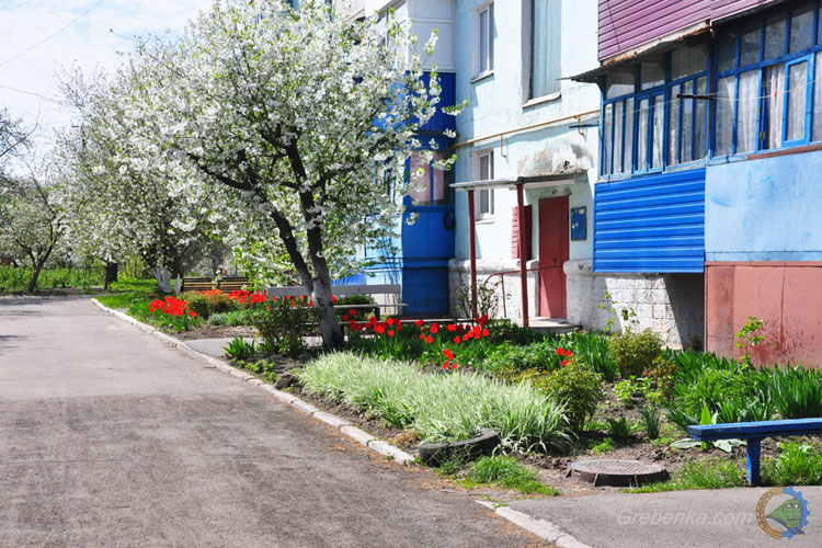 Весна в моем дворе...