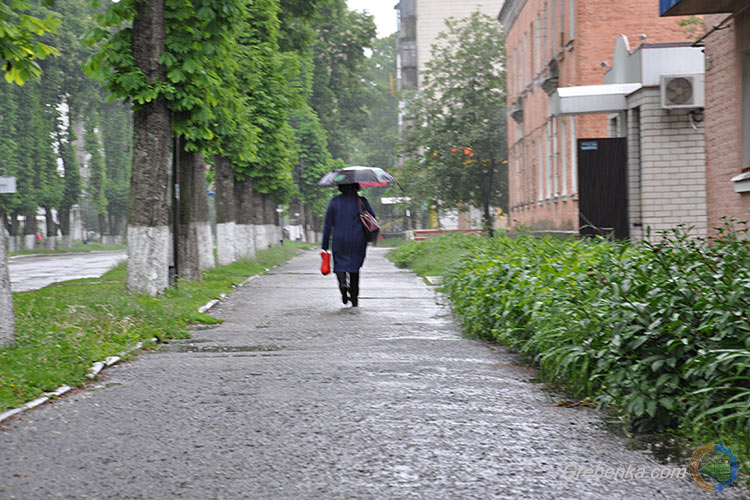 Весна прощається дощем...
