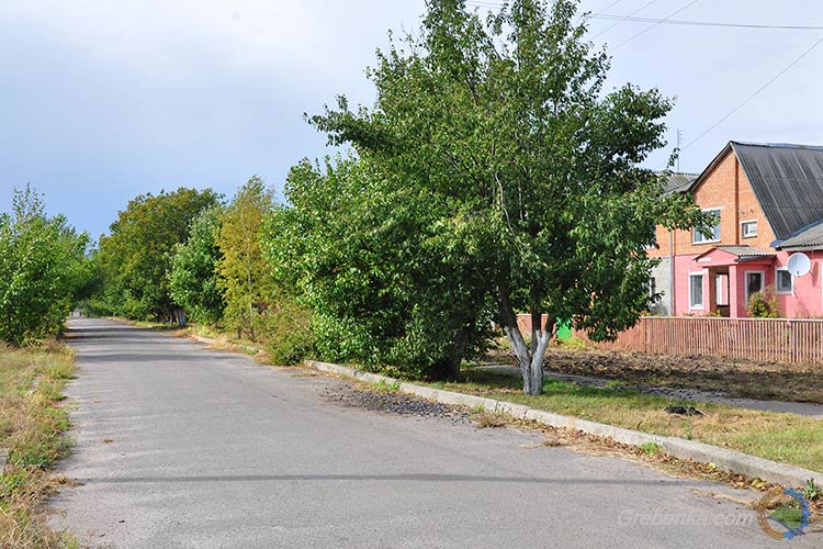 вул. Молодіжна, м. Гребінка (Полтавщина)