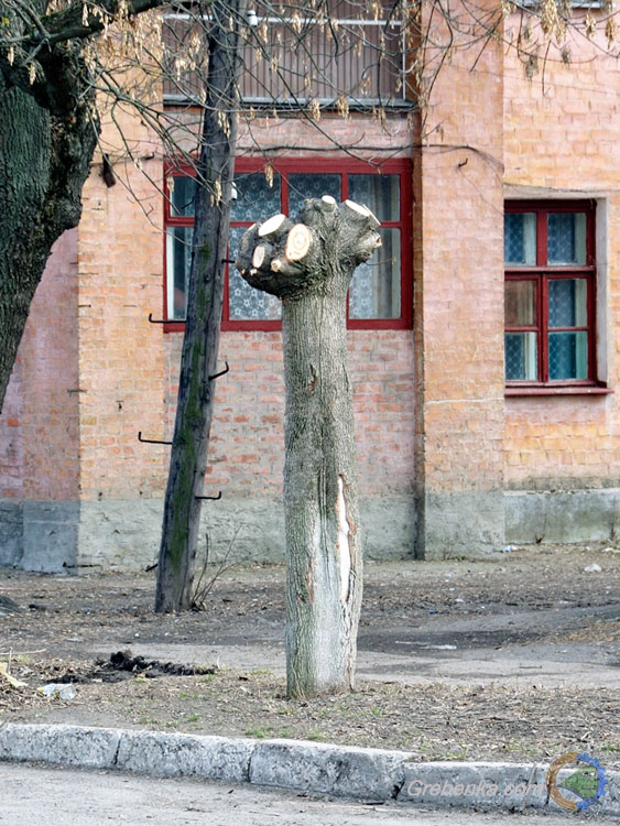 Витвір мистецтва