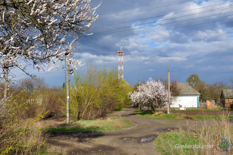 вул. Григорія Сковороди, м. Гребінка