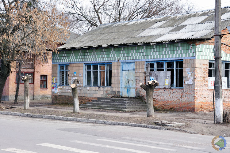 Каштани по фен-шуй