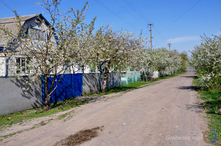 вул. 1 Травня / м. Гребінка