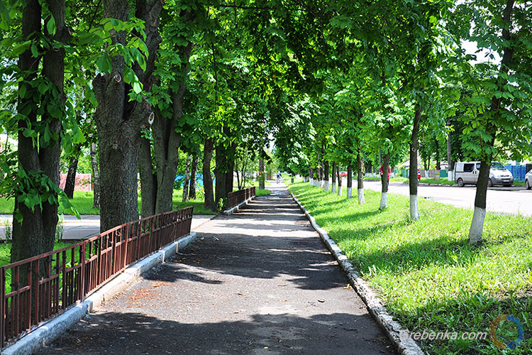 Зелене місто: Сквери Гребінки не перестають зачаровувати