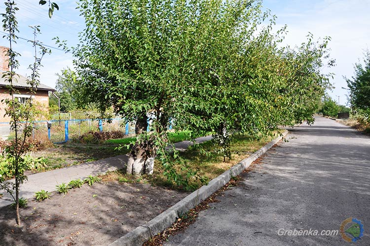 вул. Молодіжна, м. Гребінка (Полтавщина)