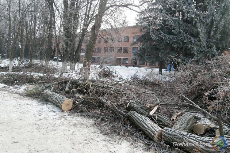 Вирубка дерев