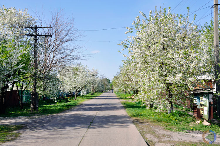 вул. Ватутіна / м. Гребінка