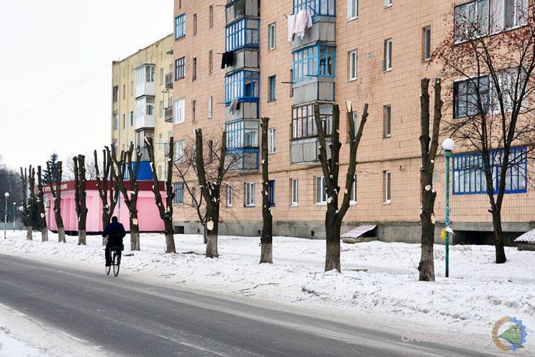 Деревам винесли вирок