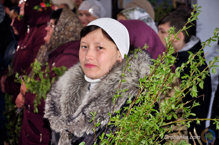 Вербна неділя