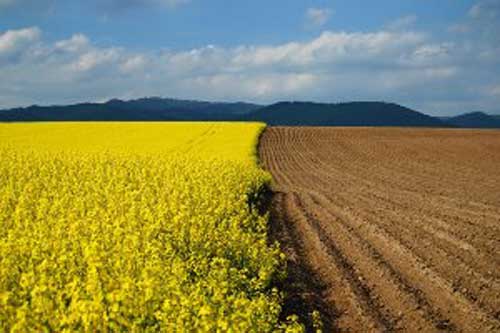  Впроваджено перший етап заходів реформування сфери земельних <b>відносин</b> в Україні 