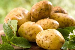  Молодой <b>картофель</b>: несколько способов молниеносной очистки 