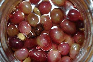 Маринование винограда на зиму с мятой и розмарином