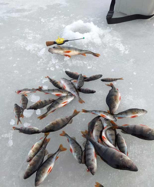 Ловимо рибу на безмотилку