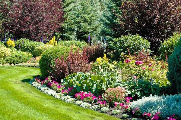 сад с цветущими кустарниками