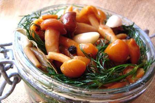 Мариновані опеньки з кропом