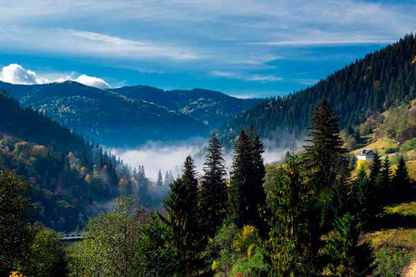 Відпочинок в Карпатах - серці України