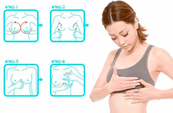 Техники выполнения массажа груди Техники выполнения массажа груди