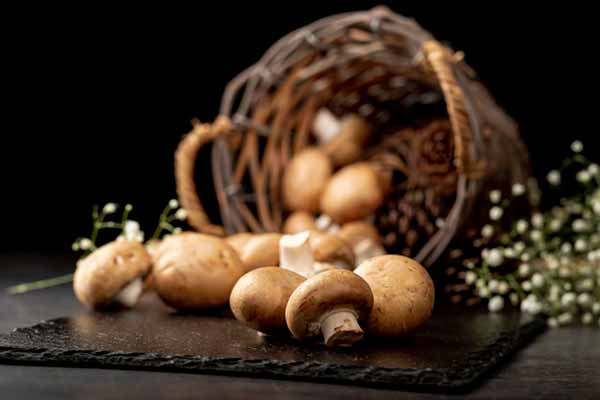 Вісім причин частіше їсти гриби