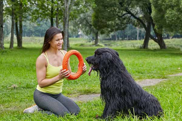 игрушки для собак игрушки для собак