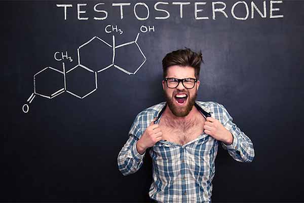 тестостерон впливає на агресивність