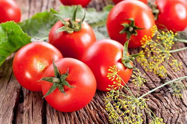 Як прискорити дозрівання помідорів: дві рекомендації