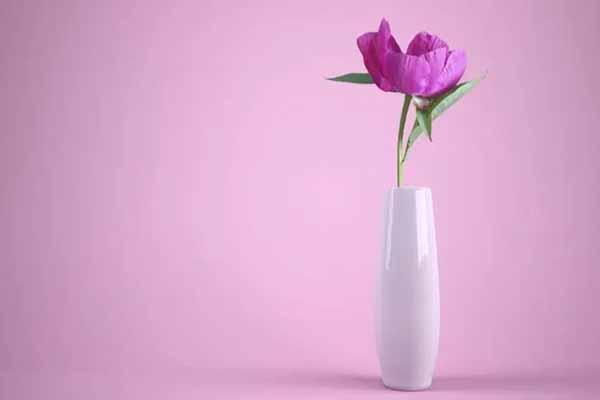 Як помити зсередини вазу з вузьким горлом: бабусина хитрість