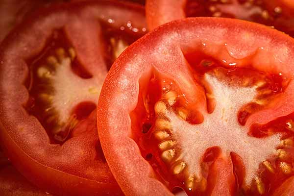 ТОП-3 сортів томатів, які ростуть самі собою: під силу виростити навіть ледачим дачникам