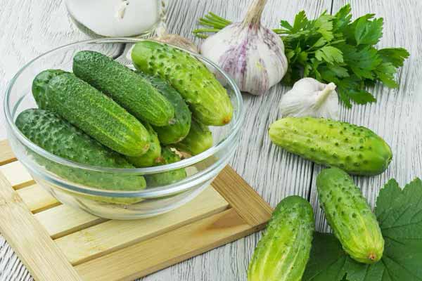 Огірки Огірки